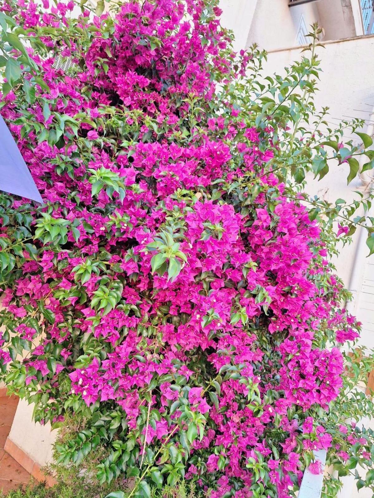 Apartment Fortuna ซัฟทัท ภายนอก รูปภาพ